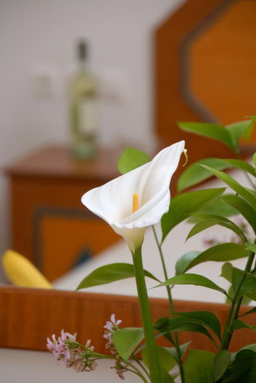 Barbouni Hotel & Studios Naxos City Ngoại thất bức ảnh